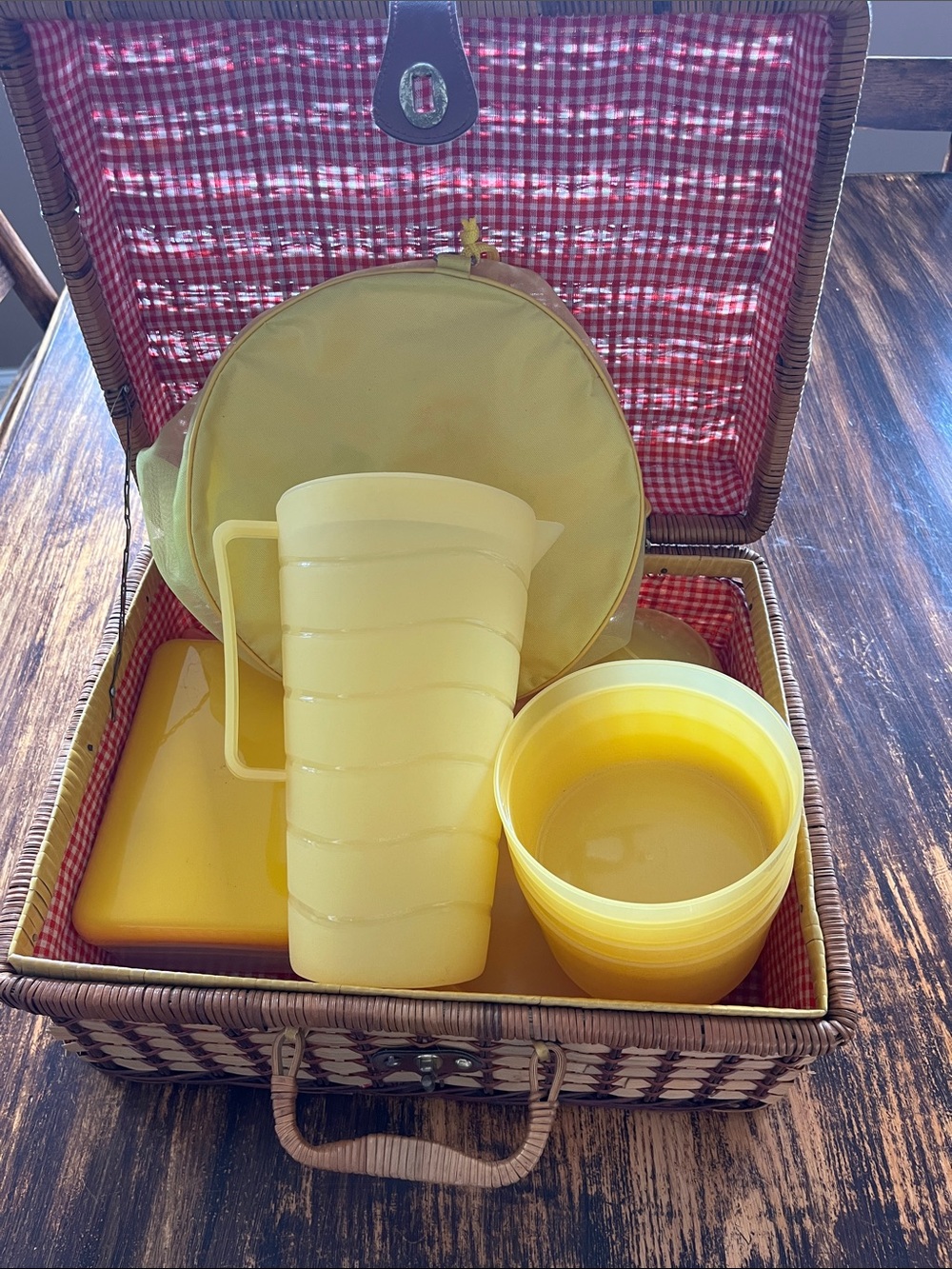 Vintage Yellow Picnic Drinkware and Serving Set by